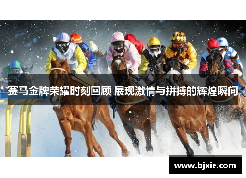 赛马金牌荣耀时刻回顾 展现激情与拼搏的辉煌瞬间