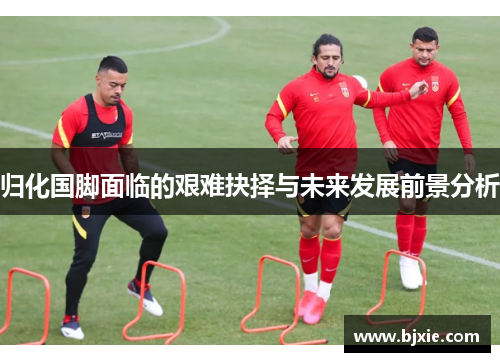 归化国脚面临的艰难抉择与未来发展前景分析